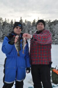 584 och 310 gr